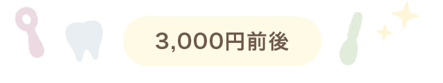 3,000円前後